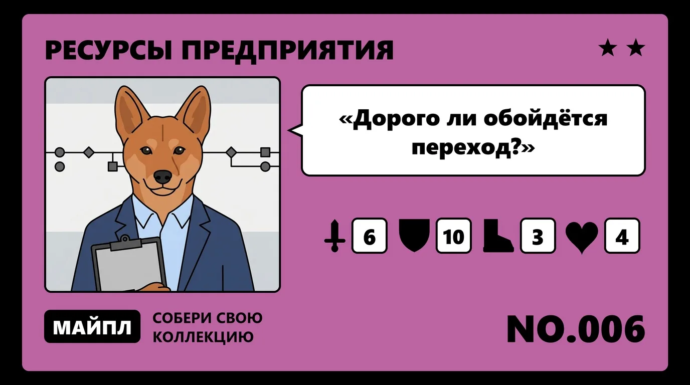 Сколько стоит и сколько длится внедрение