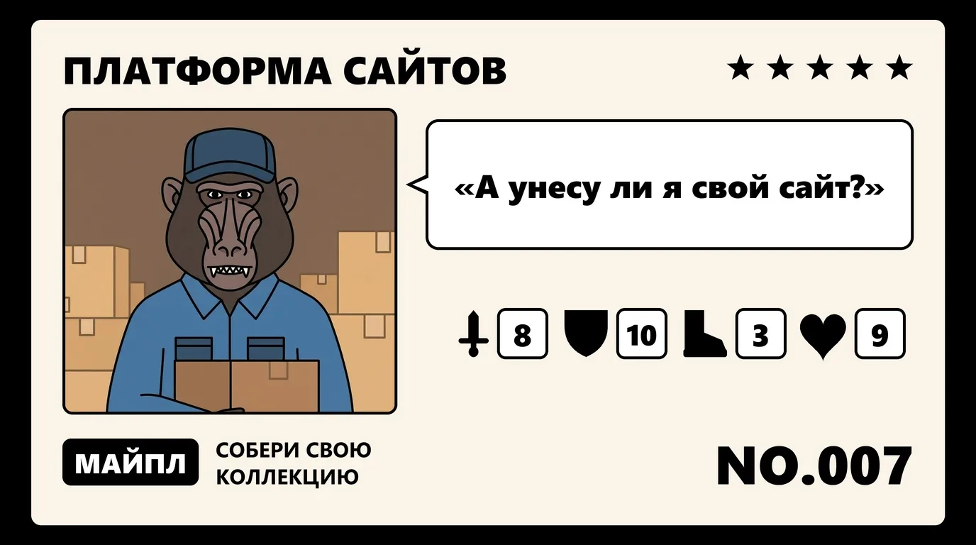 Что можно вывезти с Тильды