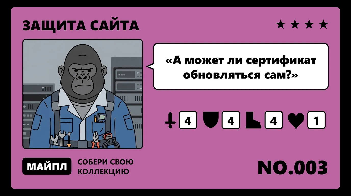 Автоматический выпуск по ACME на разных хостингах